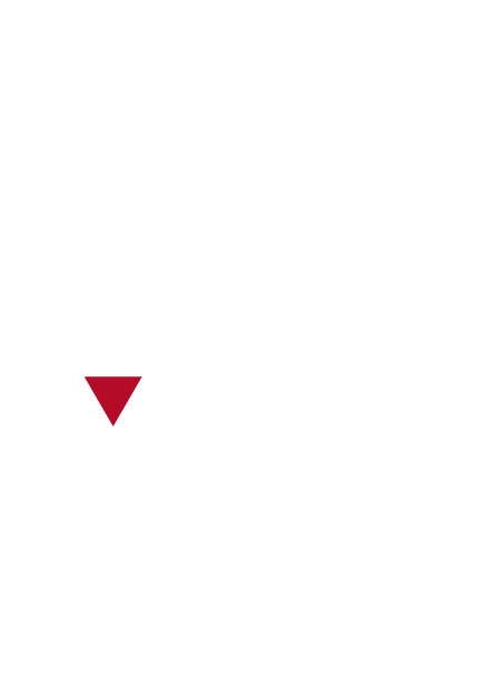 south cornell black logo